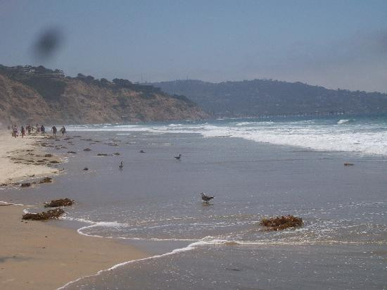 圣地亚哥黑海滩-圣地亚哥必去景点