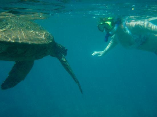 Maui Kayaks-基黑必去景点