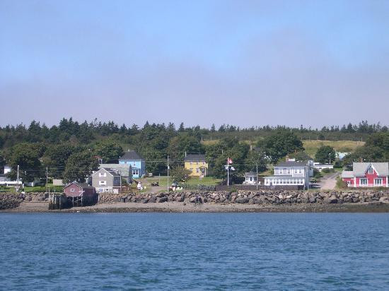 Mariner Cruises Whale and Seabird Tours-Brier Island必去景点