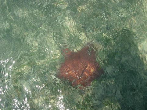 Mexico Kan Tours-图伦必去景点