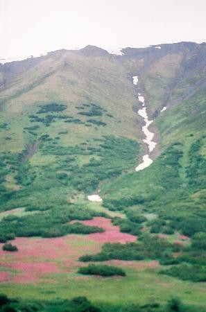 Crescent Lake Hiking Trail-Cooper Landing必去景点