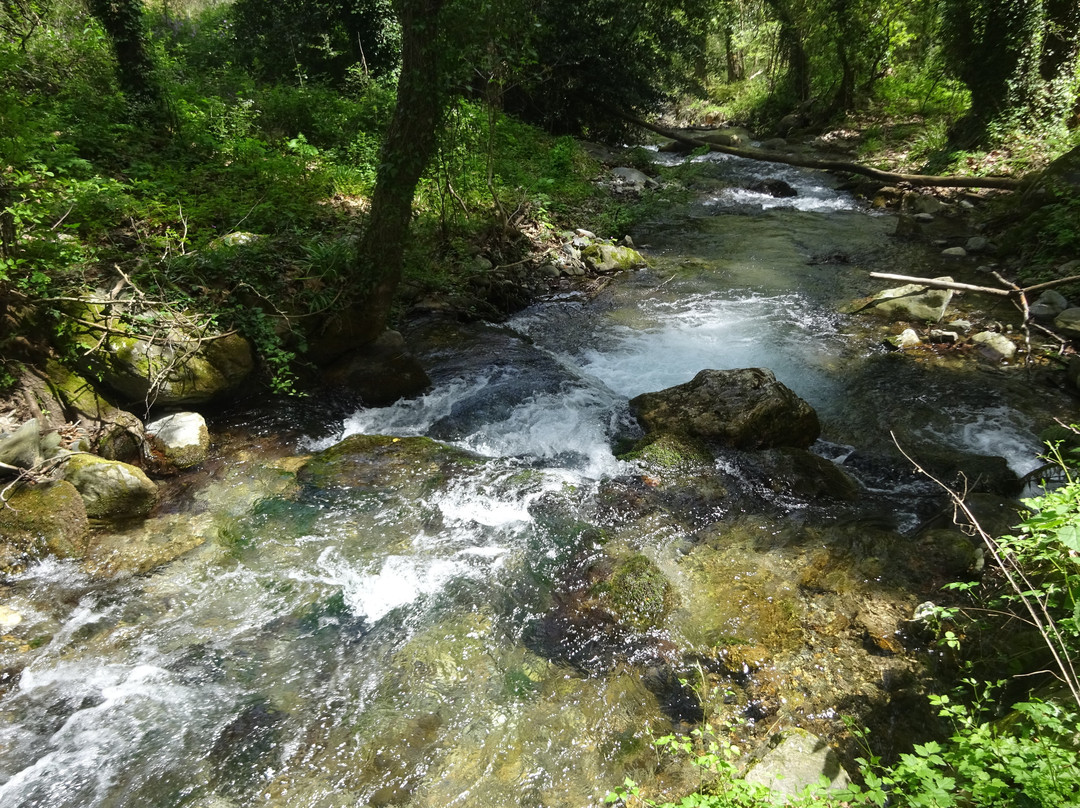 Kastora Canyon景点图片