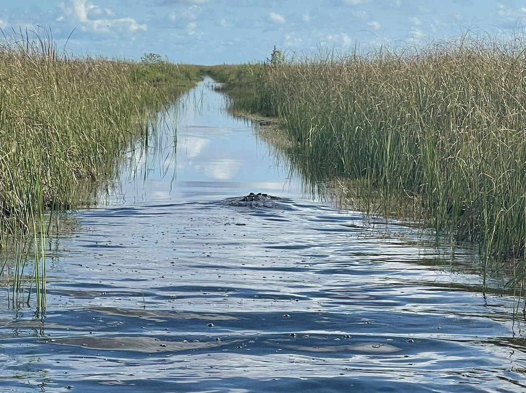Ride The Wind Private Airboat Charters-韦斯顿必去景点