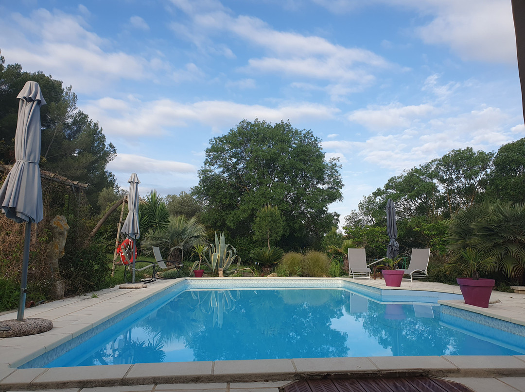 Domaine À L'aise - Piscine Chauffée主图