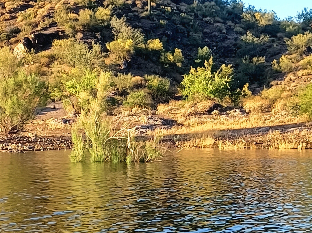 Desert Breeze Kayaking Tours-凤凰城必去景点