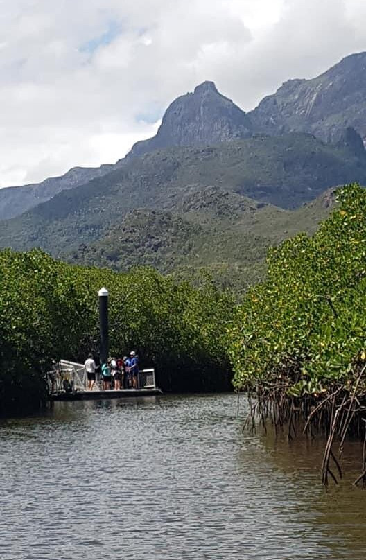 Absolute North Charters-Hinchinbrook Island必去景点