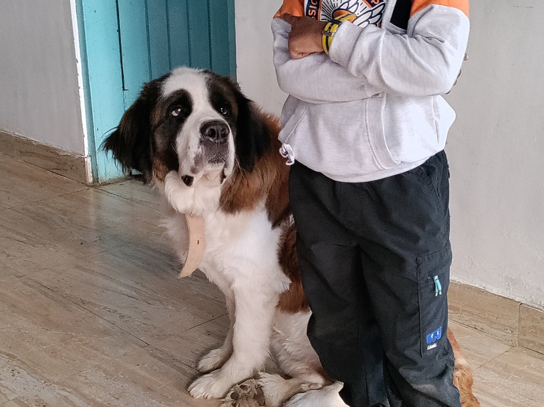 iFeelHimalayas Boutique Stay & Cafe主图