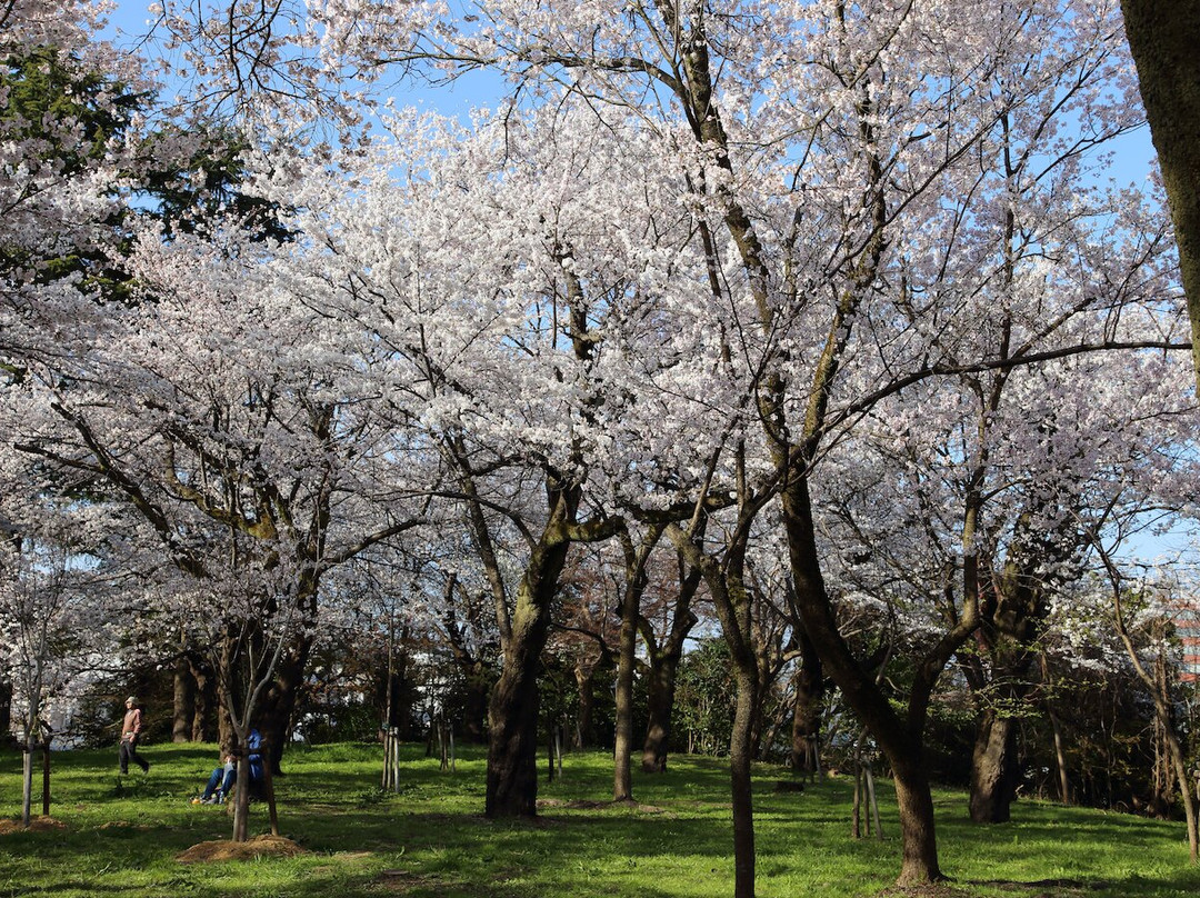 Takaoka Old Castle Park-高冈市必去景点