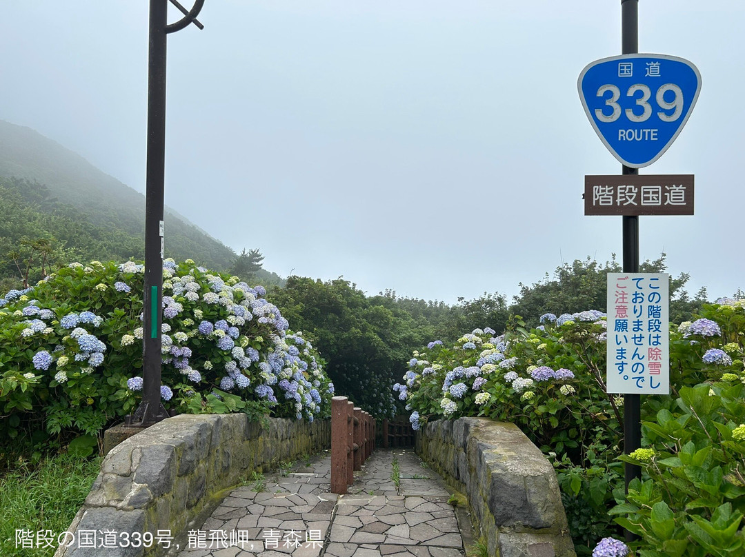 Stairs National Highway景点图片
