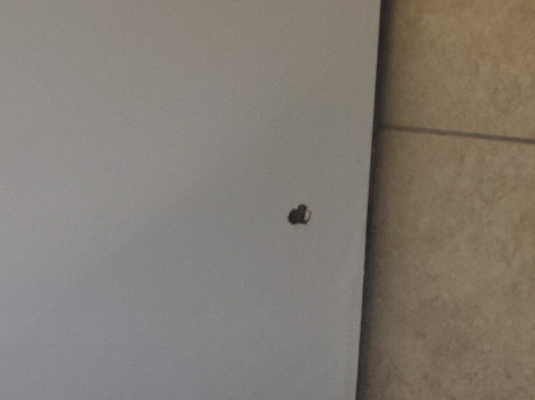 Sleep Inn & Suites Hotel Pearland - Houston South主图