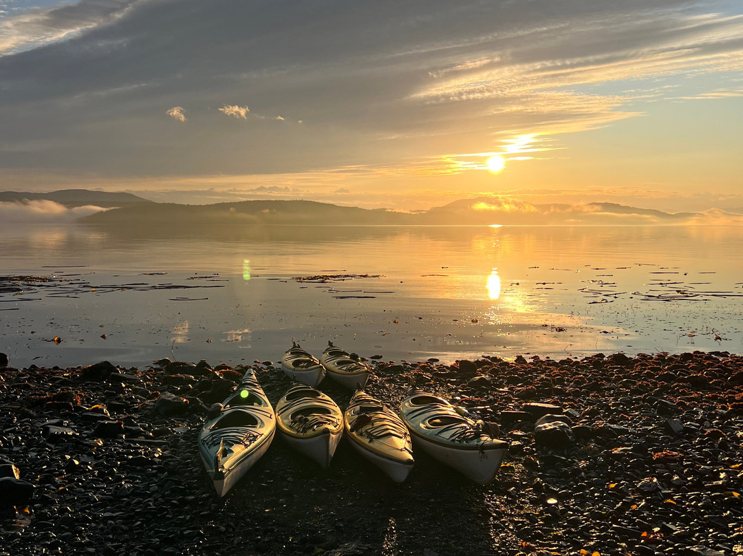 Ecosummer Expeditions-Telegraph Cove必去景点