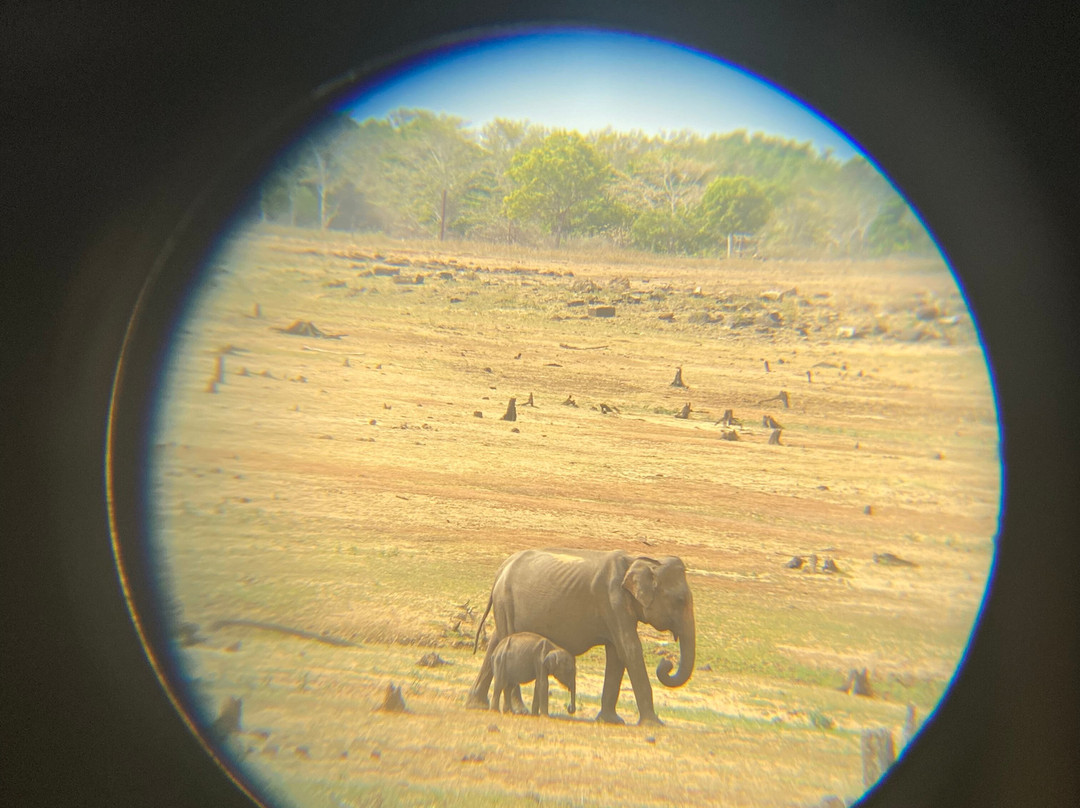 Udawalawe Safari With Sujee-乌达瓦拉瓦必去景点