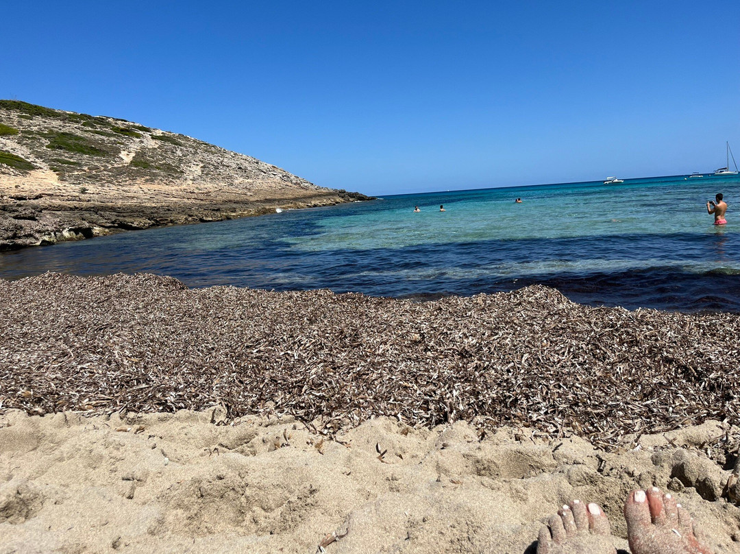 Cala Torta-Arta必去景点