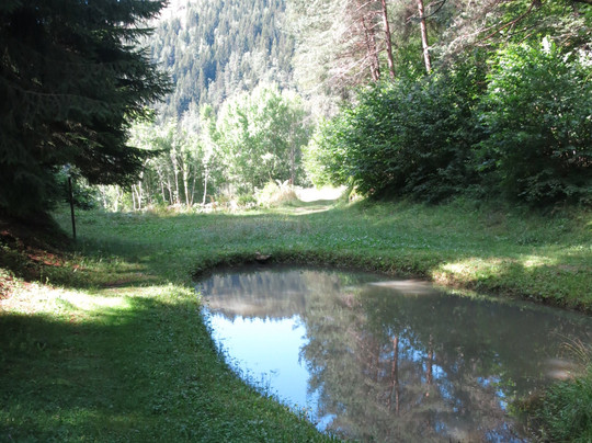 Val Di Fiemme-特伦蒂诺—上阿迪杰必去景点