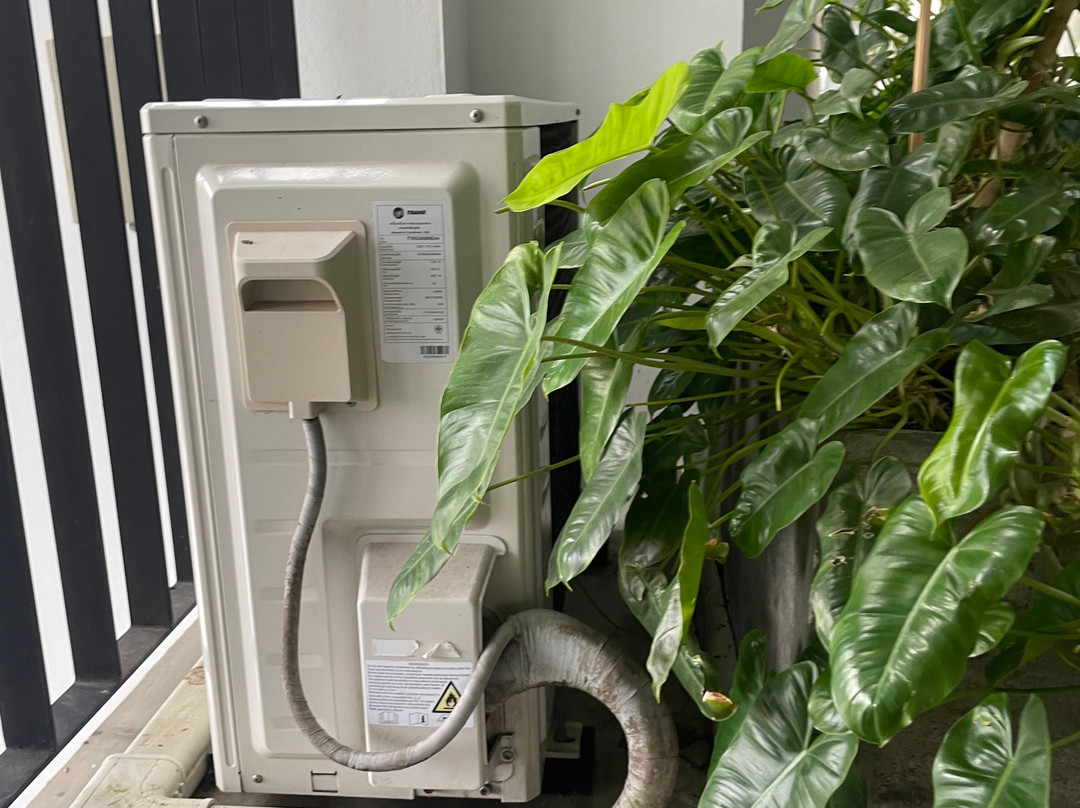 The Motifs Eco Hotel主图