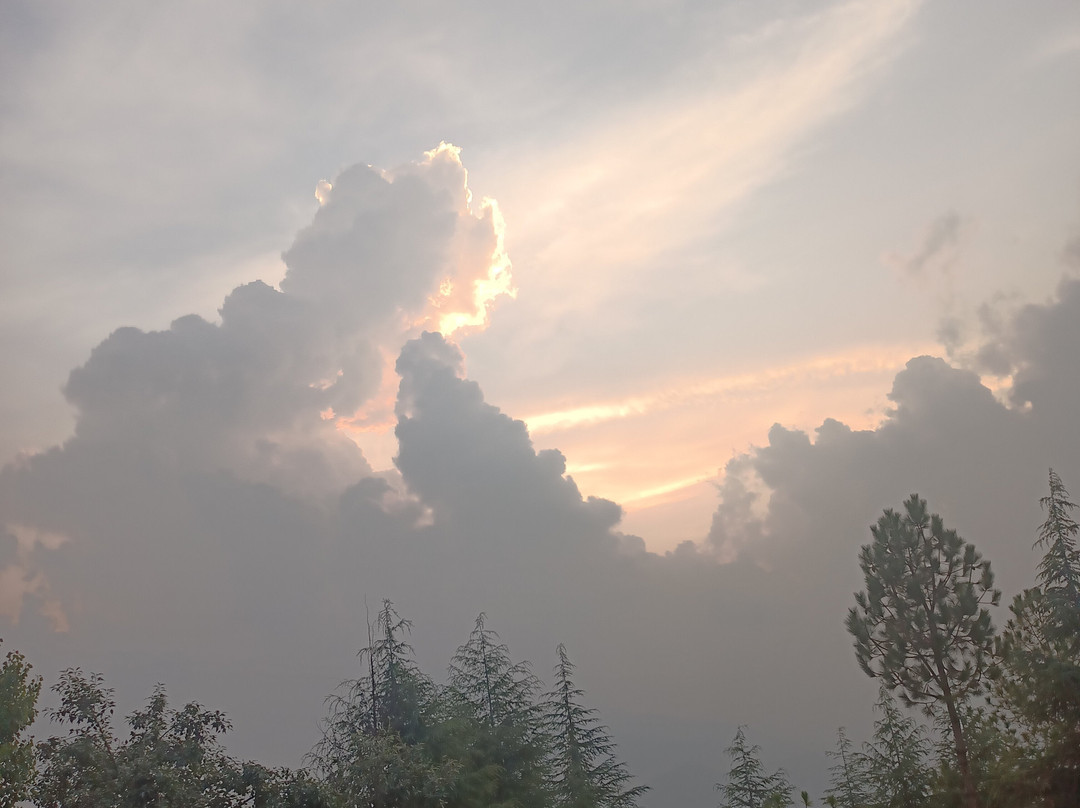 Clarks Exotica Nature Resorts主图