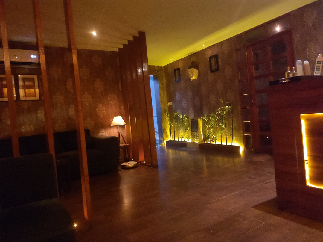 Red Coral Spa Ludhiana景点图片