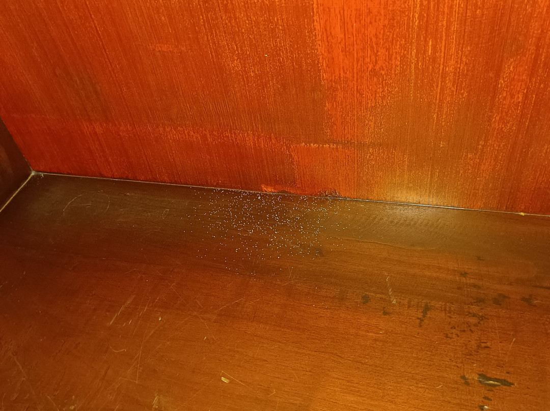 Kandy City Stay主图