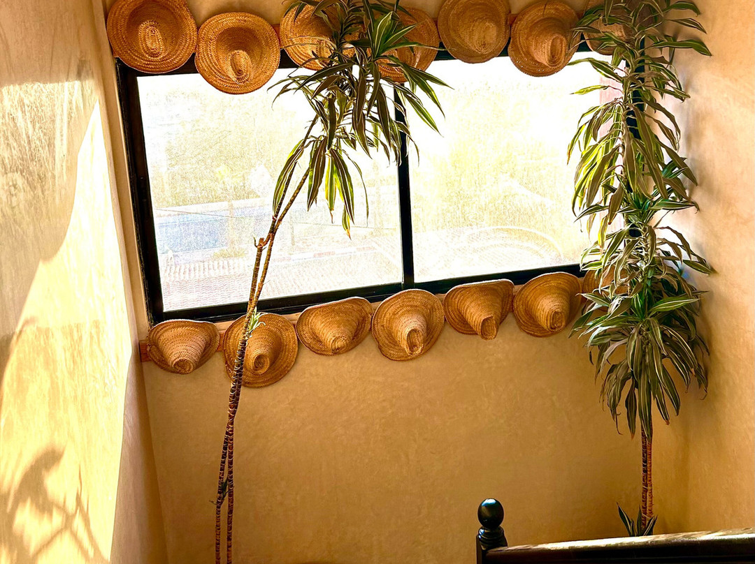 Mirage Surf Morocco-Tamraght必去景点