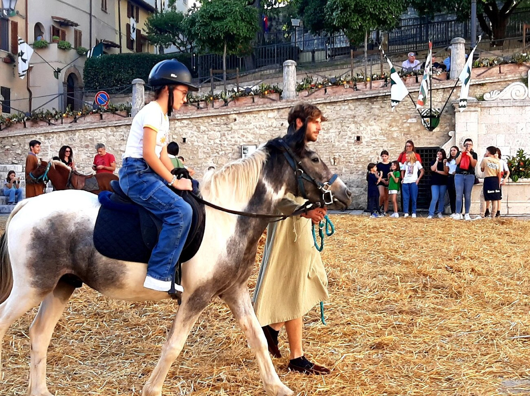 Piazza San Francesco景点图片