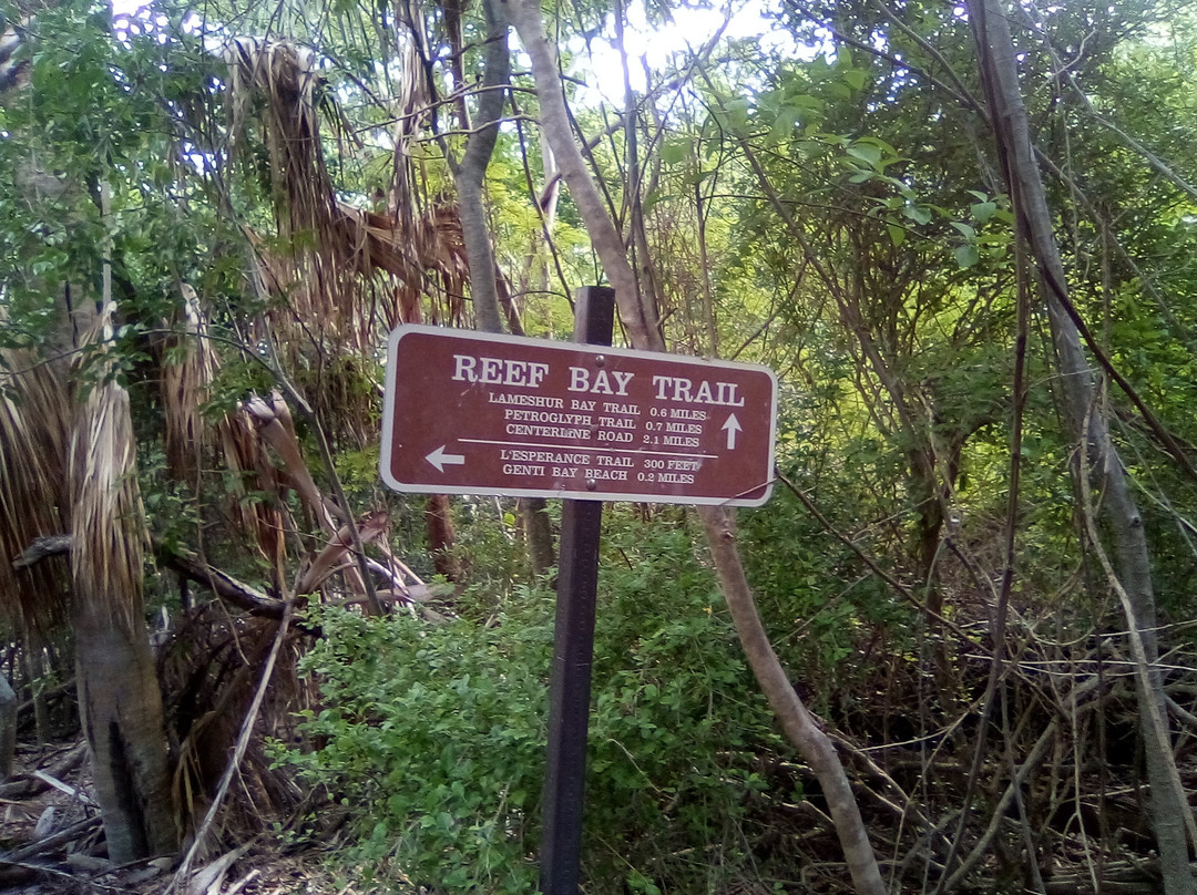 L’Esperance Trail-维尔京群岛国家公园必去景点