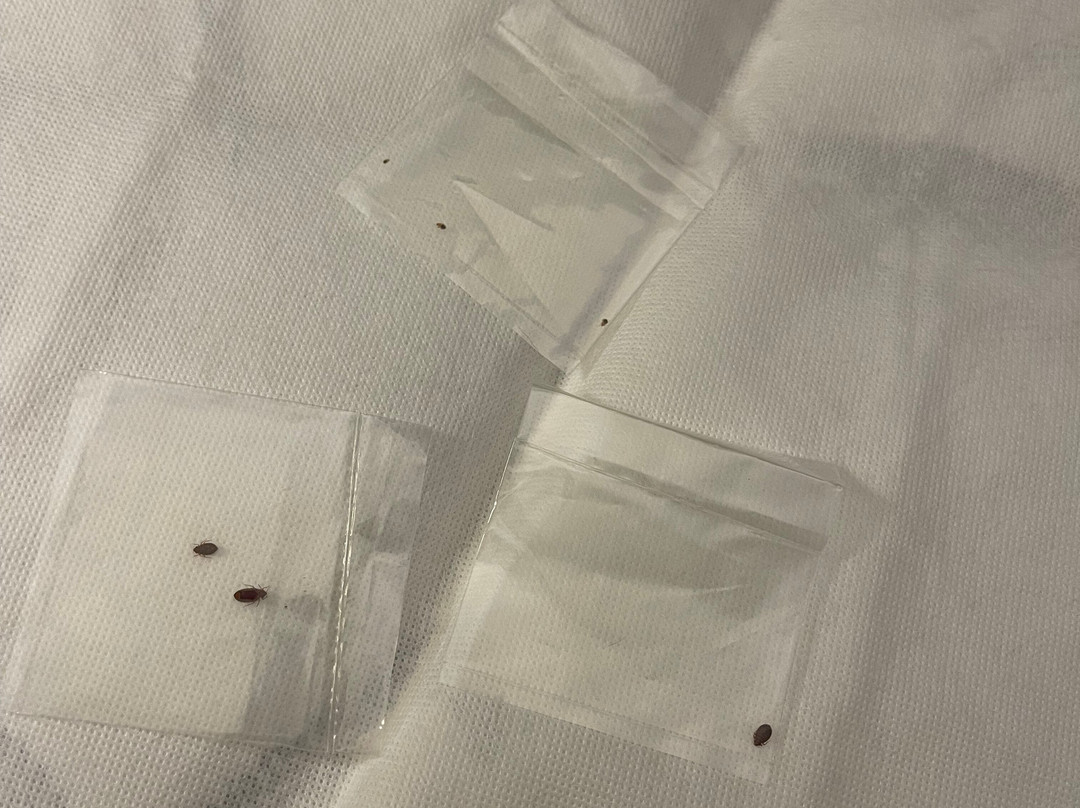 Holiday Inn Express & Suites Logansport By IHG主图