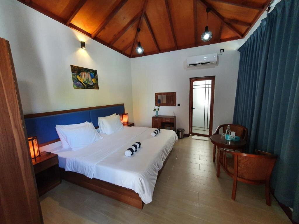 Blue Coral Vashafaru主图