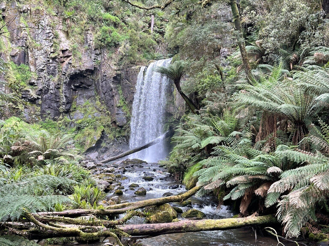 Hopetoun Falls-Beech Forest必去景点