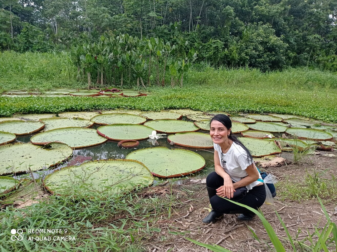 Oxígeno Amazonas景点图片