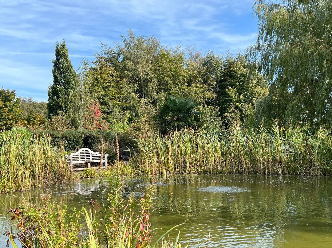 Harwood Park景点图片