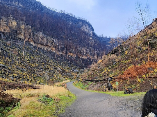 Uniline Tours-布拉格必去景点