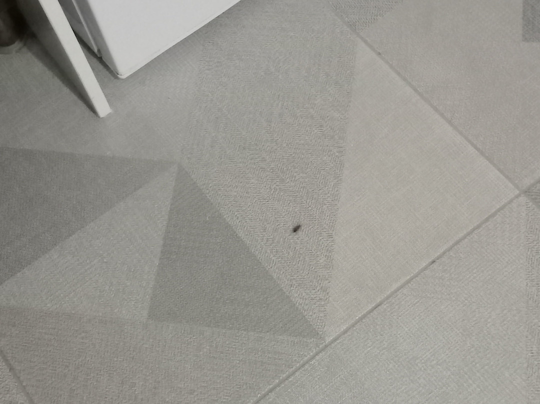 AFION Thermal OTEL主图