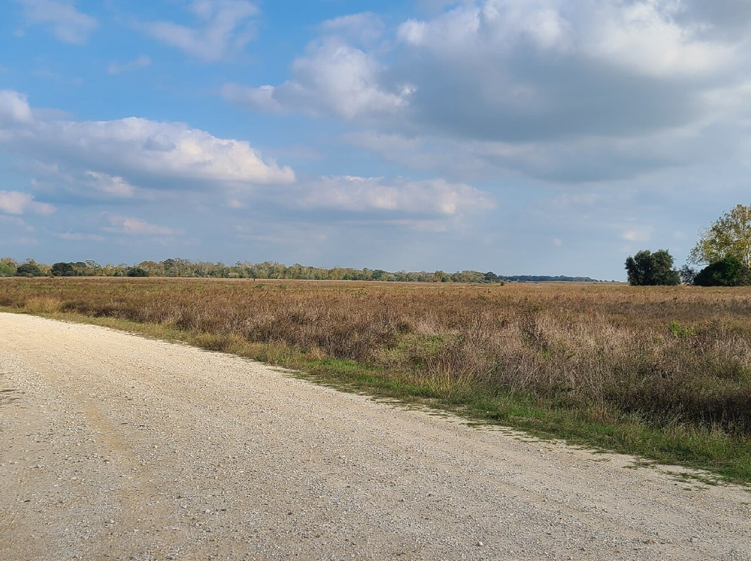 Attwater Prairie Chicken National Wildlife Refuge景点图片