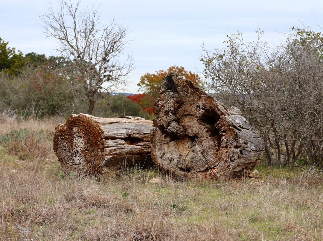 Joshua Springs Park and Preserve-Comfort必去景点