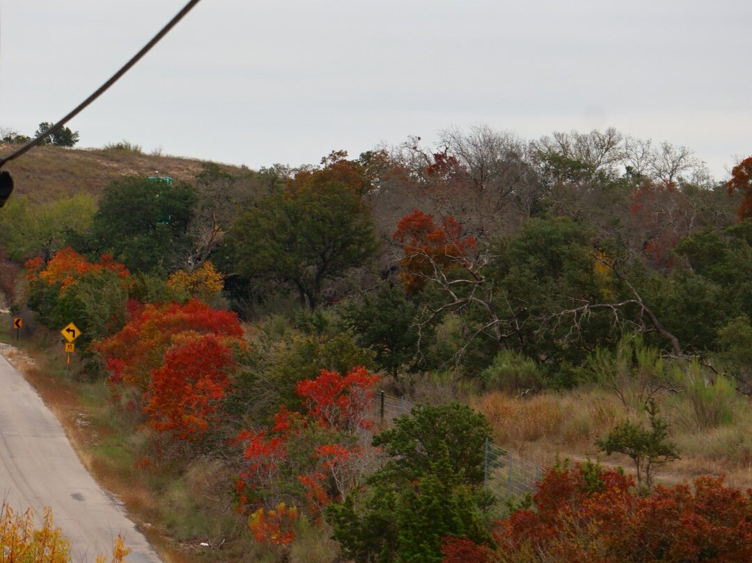 Joshua Springs Park and Preserve-Comfort必去景点