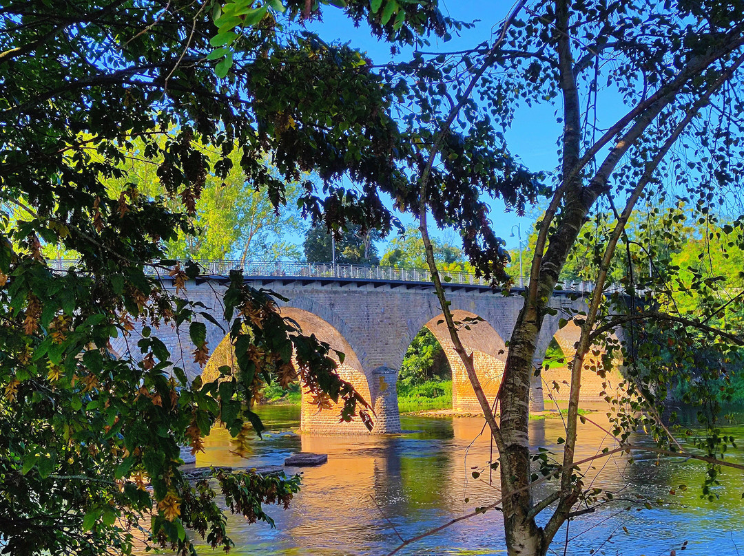 Pont de Dangé-Saint-Romain景点图片