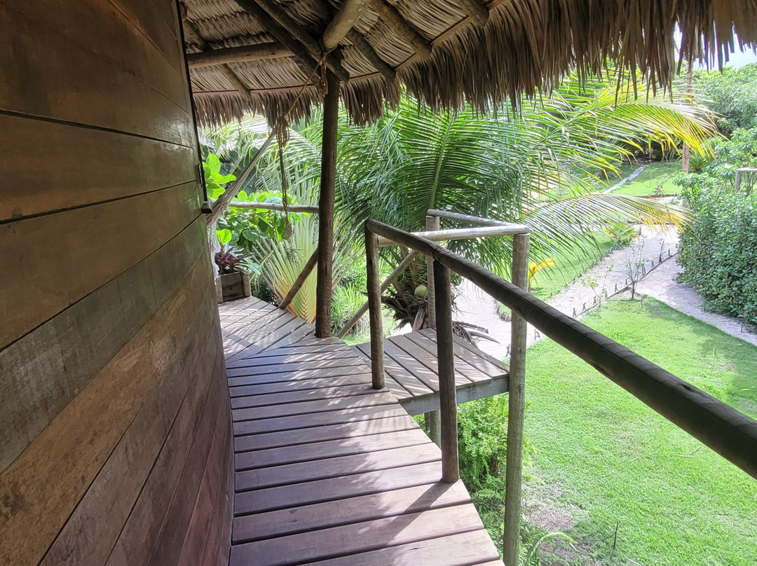 Villa Sabia - Eco Bungalows主图