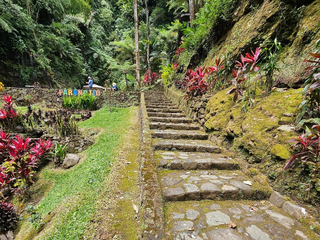 Parang Ijo Waterfalls景点图片