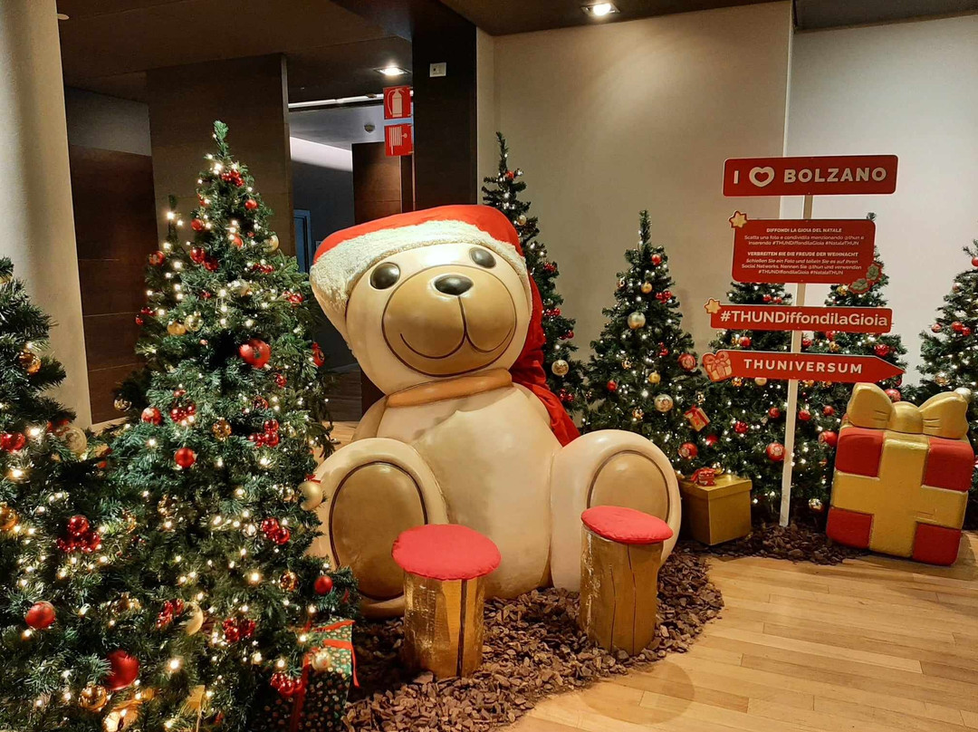 福鹏伯尔扎诺伯泽喜来登酒店主图