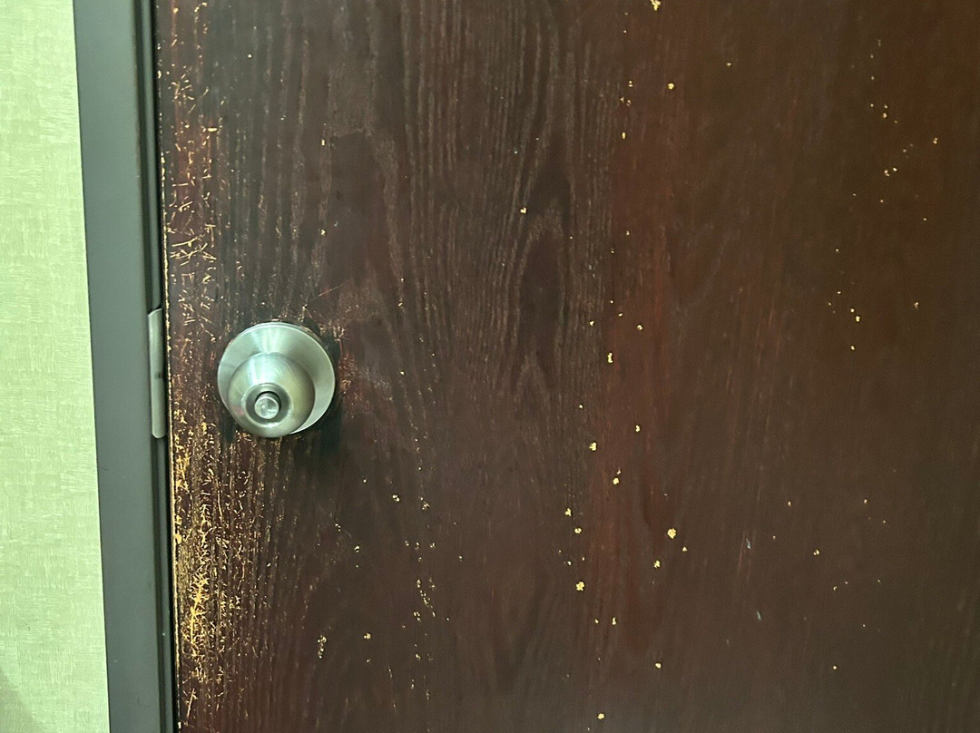 Quality Suites Sherman主图