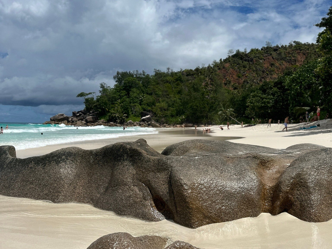 忘忧堡酒店主图