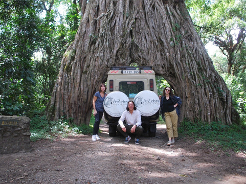 A TO ZEBRA EXPERIENCE-阿鲁沙必去景点