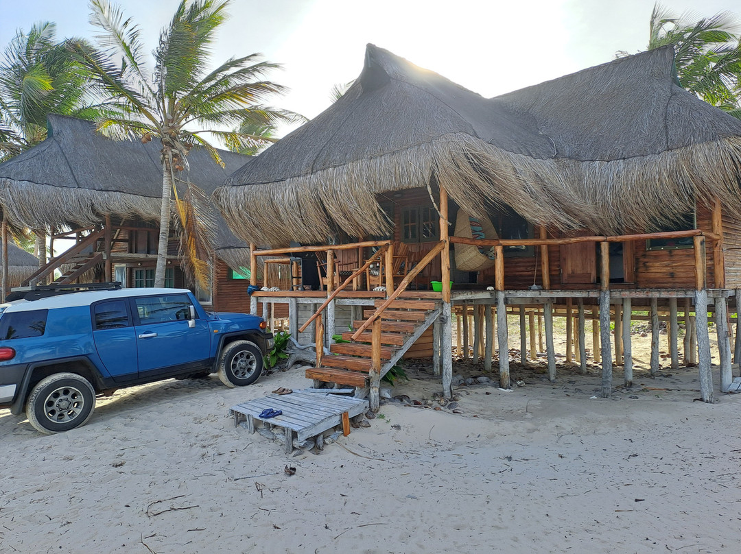 Pura Vida Lodge主图