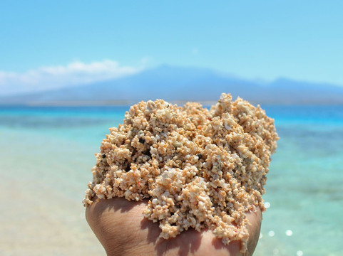 Timur Adventour-龙目岛必去景点