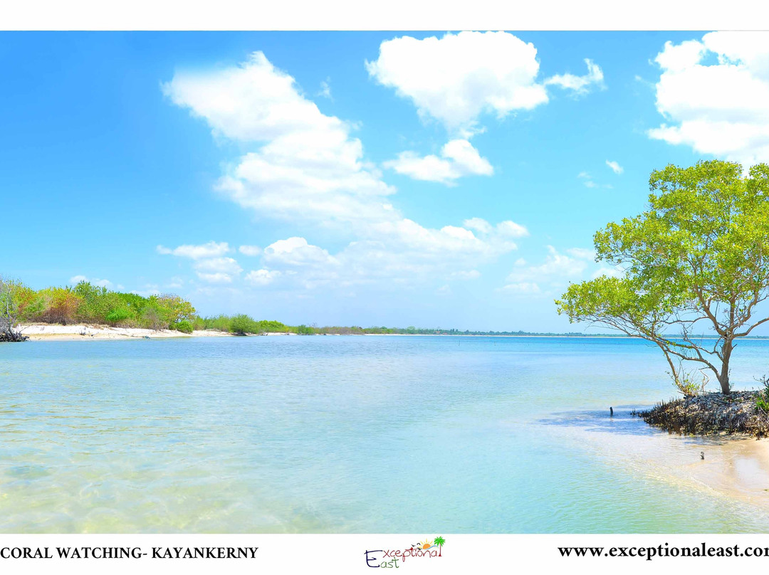 The Kayankerni Coral Watch-Pasikuda必去景点