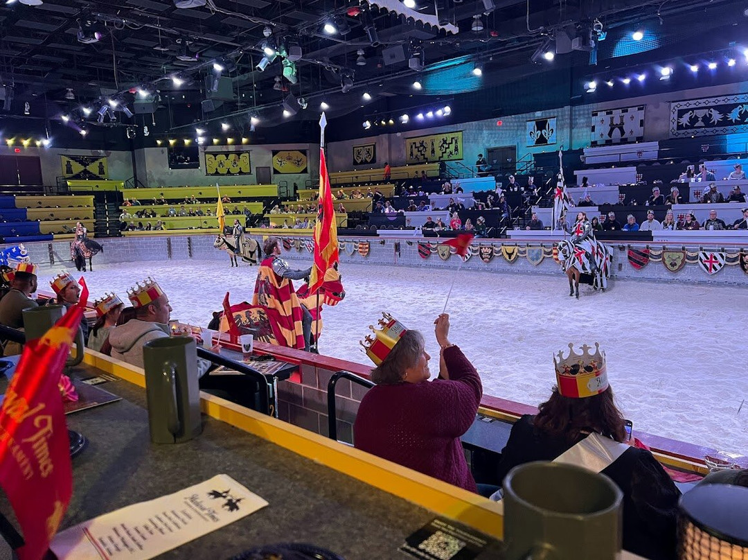 Medieval Times Maryland Castle景点图片