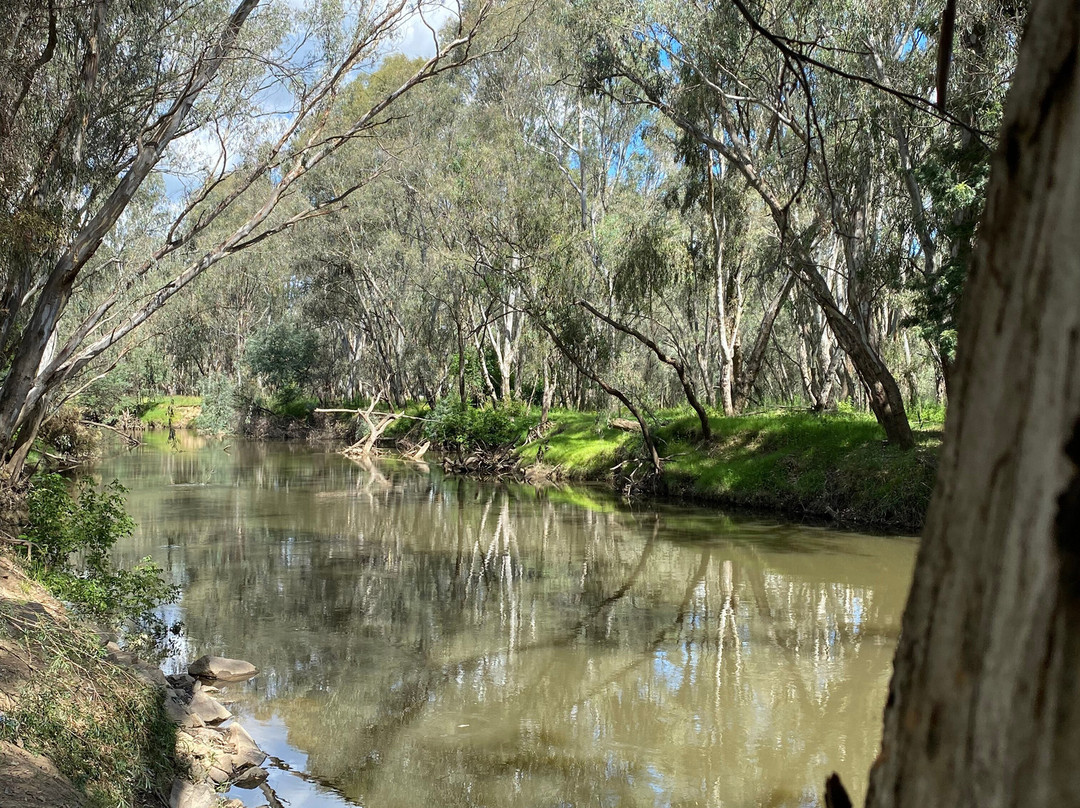 Frank Garth Reserve-Wangaratta必去景点