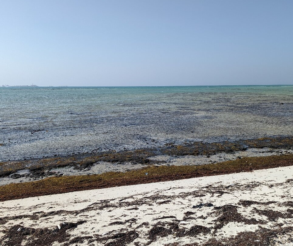 Al Zubarah Archaeological Site-Madinat Ash Shamal必去景点