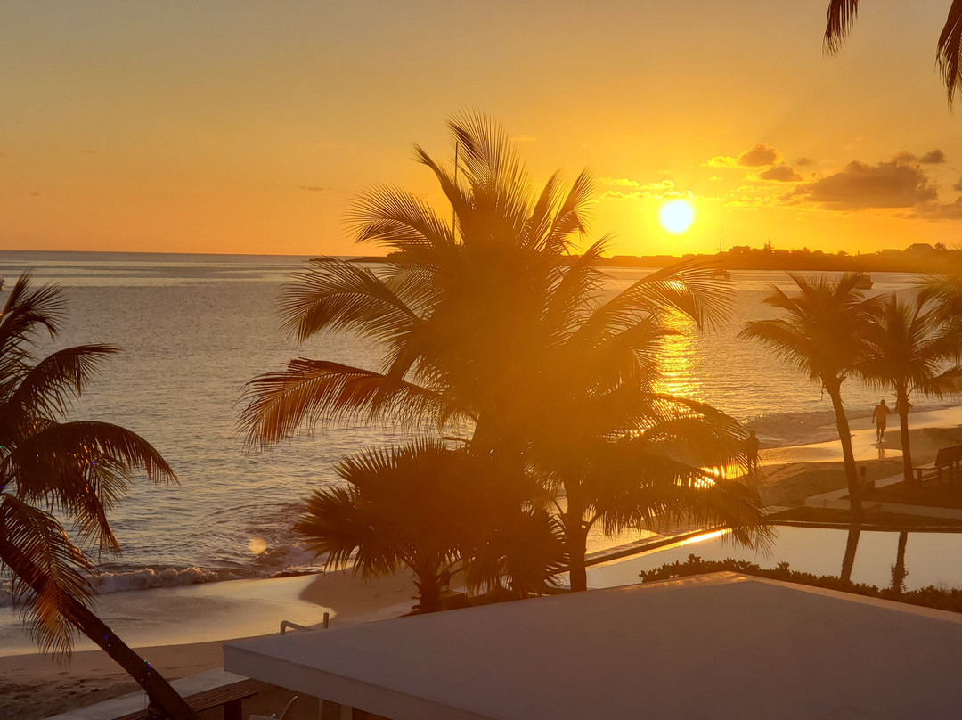 The Horny Toad Guest House主图