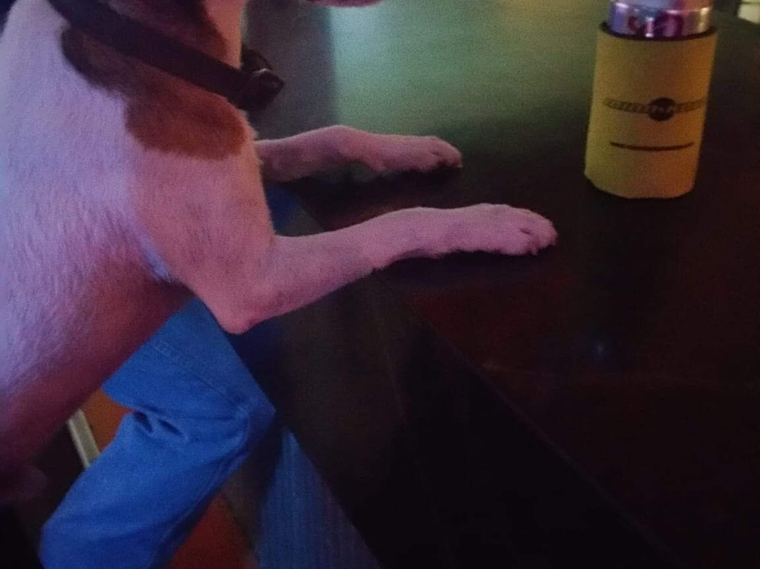 The Double R Bar-Sesser必去景点